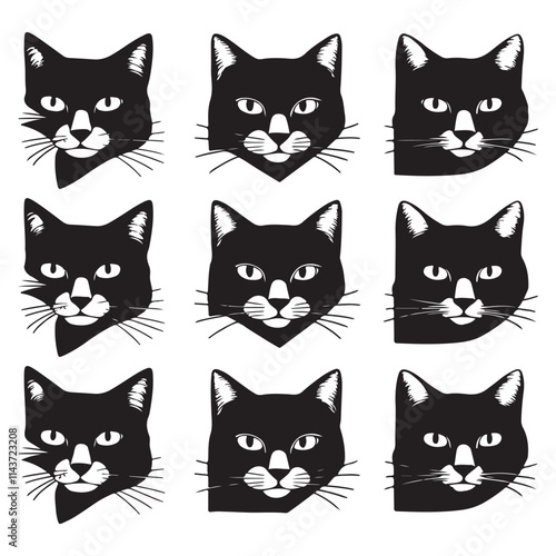 black and white cats