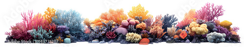 Vibrant Coral Reef Scene, Isolated on White Background, Stunning Underwater Imagery,  Diverse Marine Life,  Colorful Corals,  Seabed Panorama,  Ocean Ecosystem,  Tropical Reef,  Transparent Background