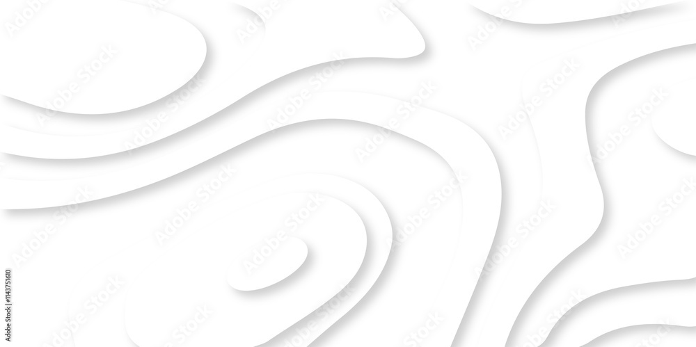 Vector minimal light element shadow landscape wave element curve graphic papercut design. Background with lines Modern black and white carve wave line abstract luxury papercut background. Vector minimal light element shadow landscape wave element curve graphic papercut design. Background with lines Modern black and white carve wave line abstract luxury papercut background.