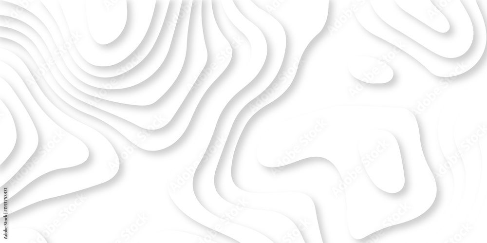 Vector minimal light element shadow landscape wave element curve graphic papercut design. Background with lines Modern black and white carve wave line abstract luxury papercut background. Vector minimal light element shadow landscape wave element curve graphic papercut design. Background with lines Modern black and white carve wave line abstract luxury papercut background.