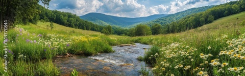 Stunning panorama of the Monongahela River Valley showcasing lush greenery and vibrant wildflowers in bright sunlight