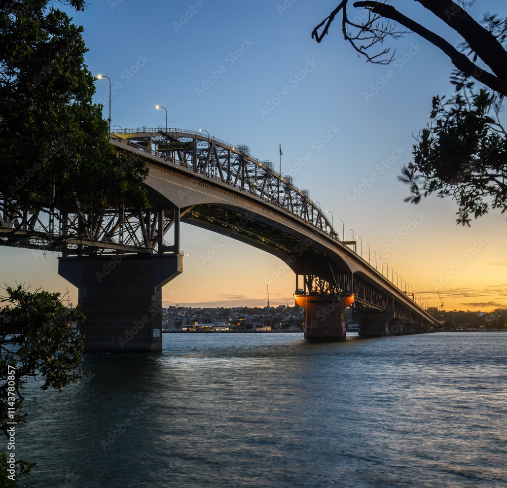 Obraz premium Auckland Harbour Bridge framed by Pohutukawa trees at sunset.