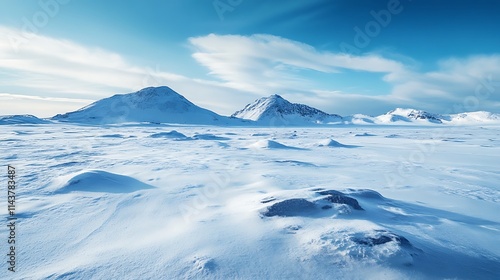 Wallpaper Mural Arctic Winter Landscape. Majestic Mountains and Snow Covered Plains. Torontodigital.ca