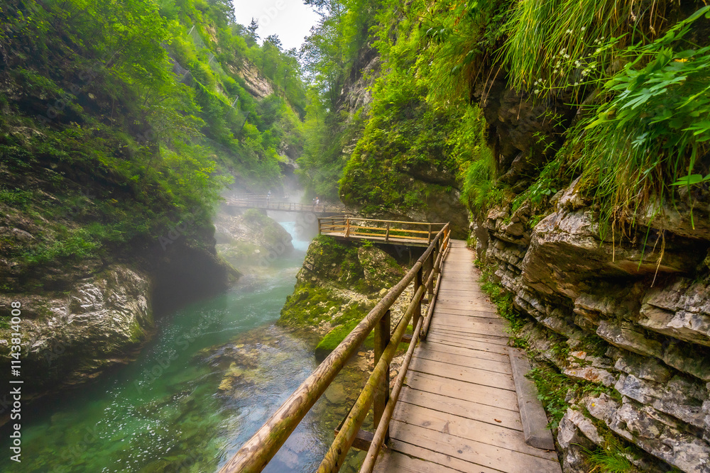 Wooden footbridge over radovna river flowing through vintgar gorge, bled, slovenia Wooden footbridge over radovna river flowing through vintgar gorge, bled, slovenia