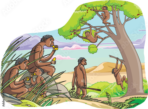 Evolution. Monkeys. Monkey family cartoon illustration.