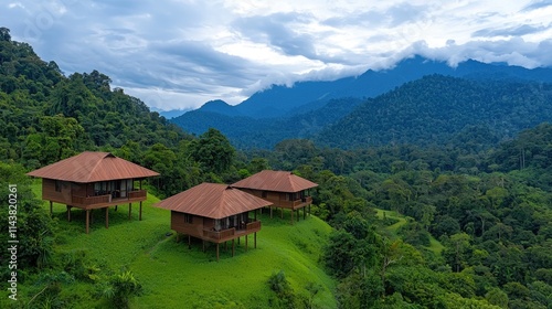 Tranquil eco lodge retreat mountainous rainforest aerial view lush green environment nature escape concept