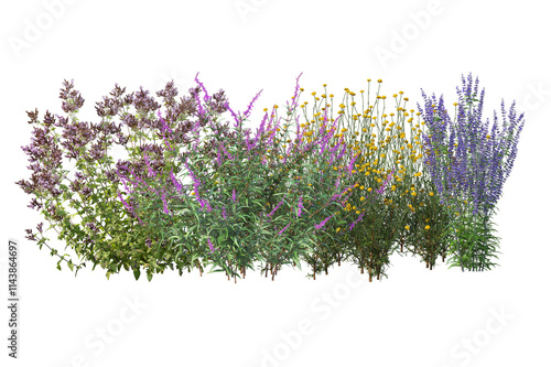 Diverse collection of isolated flowers, grasses, bushes, and small plants