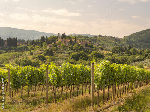 Scenic view of vineyard and mountains against sky photo