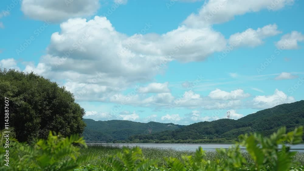 riverside scenery and sunny