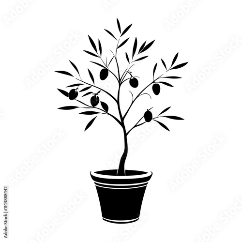 Olive tree in pot in simple line drawing on transparent background