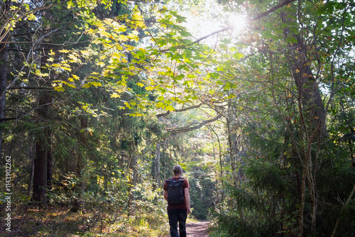 Rear view of tourist walking in forest photo