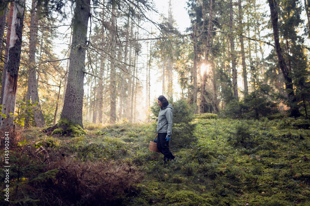 Side view of woman hunting mushroom in forest Side view of woman hunting mushroom in forest