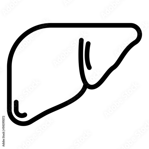  Liver Icon