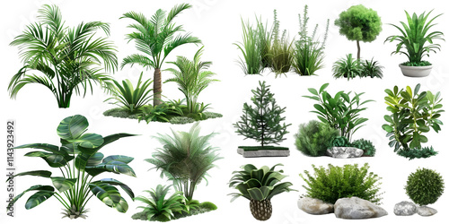 Set of plants isolated on white background. Cutout vegetation for garden design or landscaping. High quality clipping mask for professionnal composition. Generative AI. photo