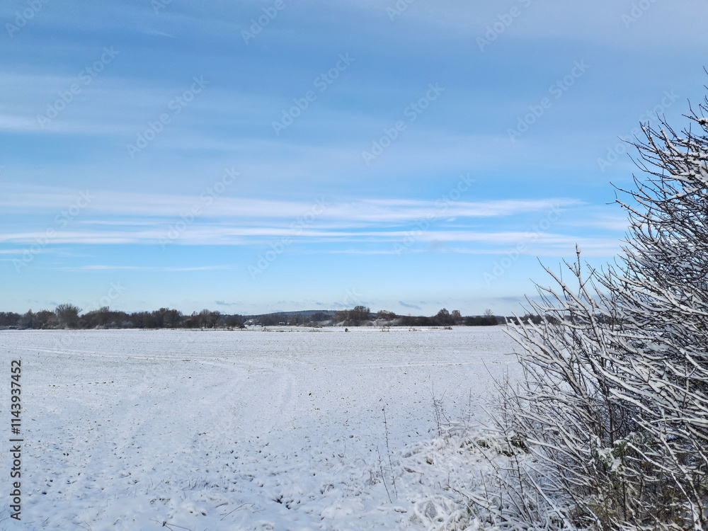 Winterliches Feld bei Brielow nahe Brandenburg an der Havel Winterliches Feld bei Brielow nahe Brandenburg an der Havel