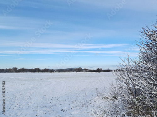 Winterliches Feld bei Brielow nahe Brandenburg an der Havel