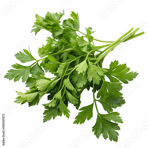 parsley isolated on white background