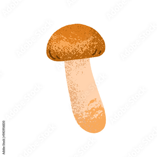 Boletus mushroom. Edible forest fungus with cap and stalk, natural seasonal p...