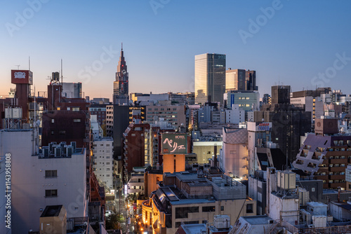 Canvas Print View of high-rises in Tokyo, Japan during colorful morning sunrise