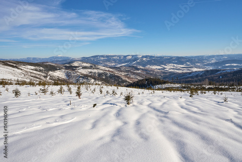 White meadow at Silesian Beskid near Bialy Krzyz pass, Poland photo