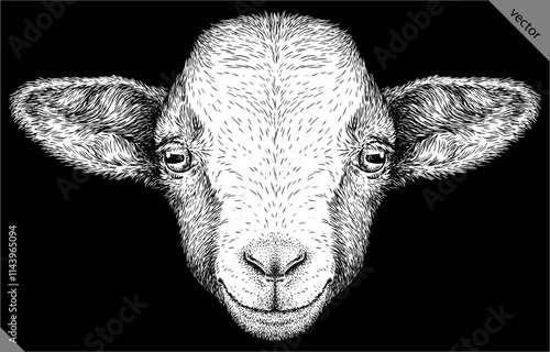 Vintage engraving isolated goat set illustration ink sketch. Farm animal background ram silhouette sheep art. Black and white hand drawn vector image photo