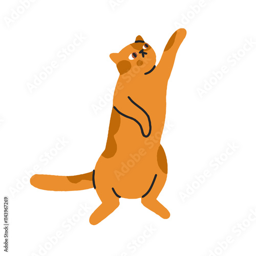 Cute cat reaching, stretching up with paw. Funny feline, comic humor kitty st...