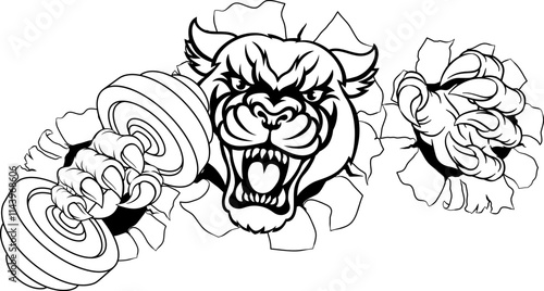 A panther jaguar leopard weight lifting gym animal sports mascot holding a dumbbell weight in his claw