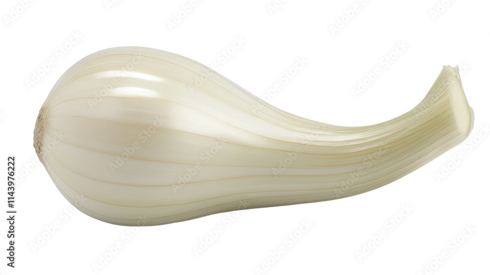 High-Quality Fresh White Garlic Clove with Smooth Surface Perfect for Culinary Uses and Health Benefits in Cooking. High-Quality Fresh White Garlic Clove with Smooth Surface Perfect for Culinary Uses and Health Benefits in Cooking.