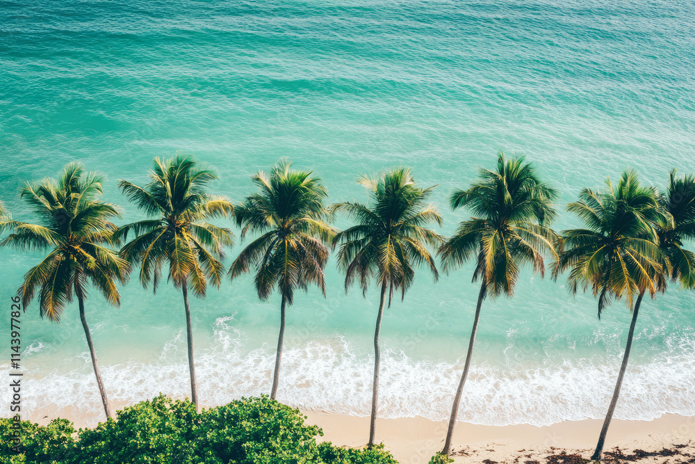 Obraz premium Tropical palm trees along serene beach with turquoise waves