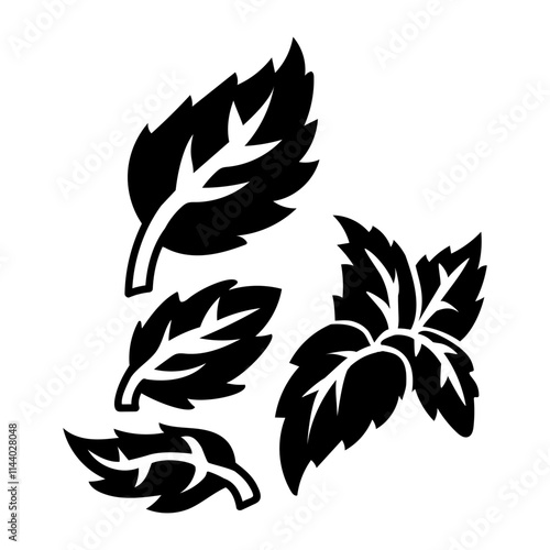 Mint twigs and leaves are isolated. Culinary herbs and spices, hand-drawn. of sketches of mint details. A black outline on a white background. Vector illustration. Seasoning, spices, food additives