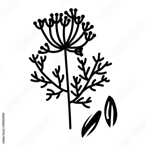 Dill and cumin, twig and seeds. Culinary herbs and spices, hand-drawn. A collection of sketches in small details. A black outline on a white. Vector illustration. Seasonings, spices, food additives