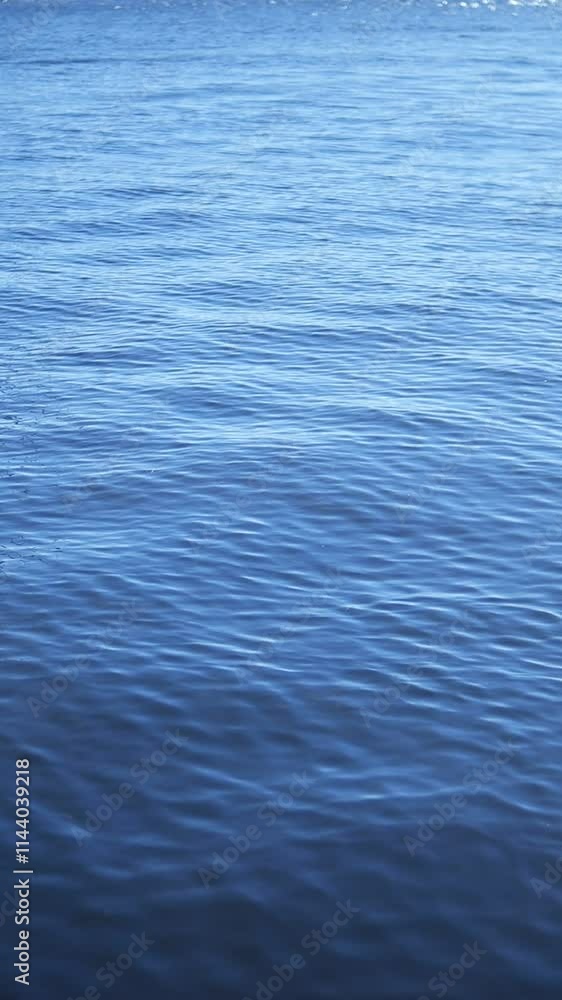 The Serene and Peaceful Waters of the Tranquil Ocean with Gentle Waves and Beauty The Serene and Peaceful Waters of the Tranquil Ocean with Gentle Waves and Beauty