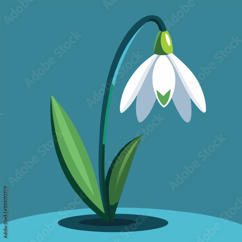 Snowdrop flower illustration 