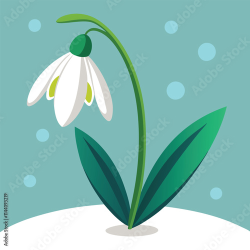 Snowdrop flower illustration 