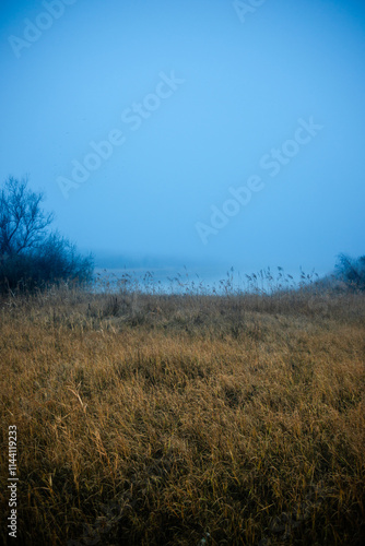 Autumn morning on the blu lake with fog , reflections on water ,landscape photography .Blue colors ,blue water ,mystery weather on the ponf.Forest near the pond , morning landscape at autumn season