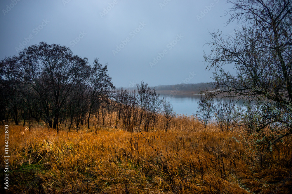 Autumn morning on the blu lake with fog , reflections on water ,landscape photography .Blue colors ,blue water ,mystery weather on the ponf.Forest near the pond , morning landscape at autumn season