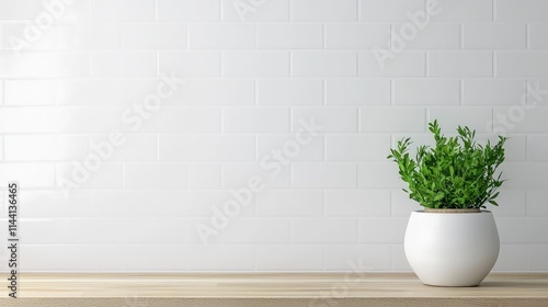 Wallpaper Mural Minimalist plant in white pot on wood surface against white brick wall. Torontodigital.ca