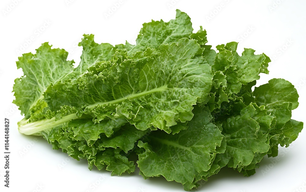 Fresh green lettuce leaves isolated on white background. Fresh green lettuce leaves isolated on white background.