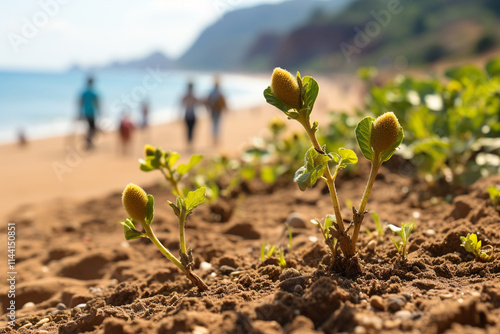 beach sand dunes possess an everlasting charm and environmental importance, showcasing their golden sands, distinctive ecosystems they sustain, and enduring attraction of these coastal characteristics photo