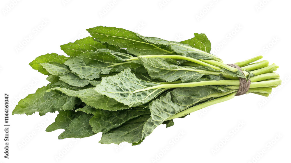 A Fresh Bunch of Green Kale Leaves Perfect for Healthy Eating and Culinary Uses in Salads, Smoothies, and More. A Fresh Bunch of Green Kale Leaves Perfect for Healthy Eating and Culinary Uses in Salads, Smoothies, and More.
