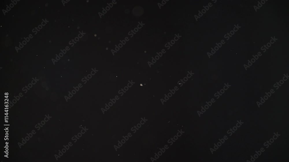 Dust particles abstract bokeh, white particles floating in the air on black background in slow motion, 4k