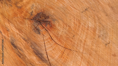 Wood board made from olive tree with annual rings. Old wooden background. wood brown grain surface texture background. 