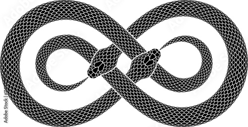 Vector tattoo design of two intersecting snakes biting their tails in the form of double infinity sign. Isolated serpent silhouette of ouroboros symbol.