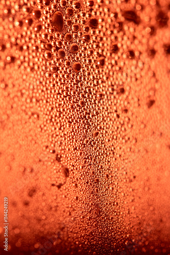 Wallpaper Mural Close Up of Condensation Floating Liquid Water Bubbles and Drips on Glass from Rain Torontodigital.ca
