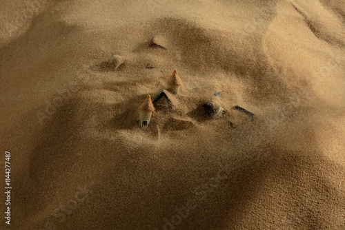 Fotografi House bury under sand storm