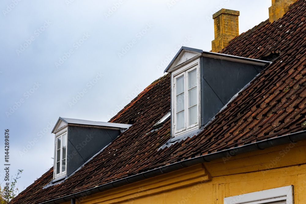 Vertical skylights on the roof of a rural cottage Vertical skylights on the roof of a rural cottage