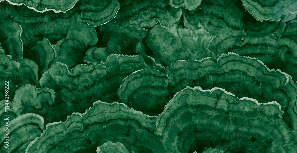Obraz premium green bark background