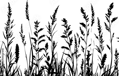 A detailed silhouette of various wild grasses and flowers, perfect for nature-themed designs and backgrounds.
