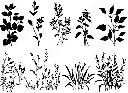 A collection of black silhouette illustrations of various plants and herbs, perfect for botanical designs and nature themes.