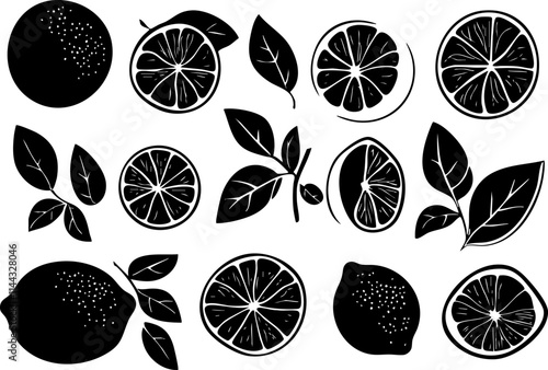 A stylish black and white illustration featuring various citrus fruits and leaves, perfect for culinary or botanical designs.